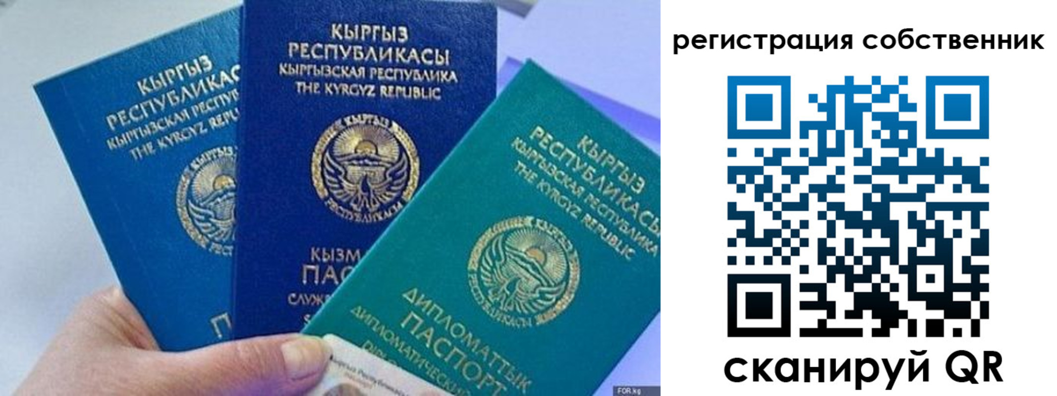 регистрация в Торопеце